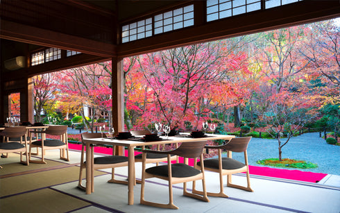 くつろぎ-ラウンジチェア2