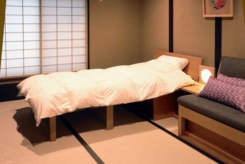 くつろぎ ソファベッドII 背板 NT色