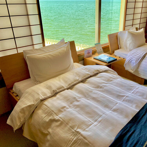 くつろぎ ソファベッドII 背板 NT色