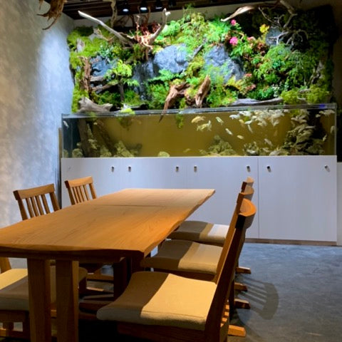 たのし-サイドチェアH MB色テール40